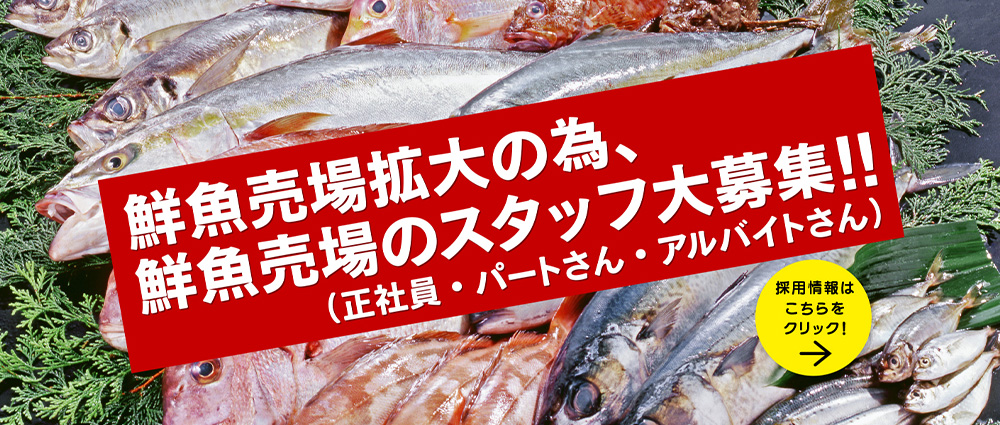 鮮魚売場スタッフ募集